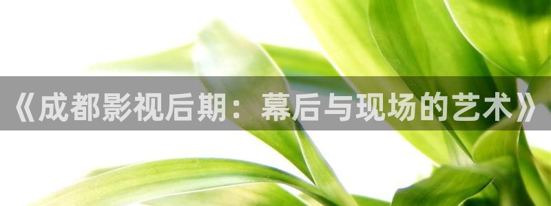 天狼在线电影：《成都影视后期：幕后与现场的艺术》