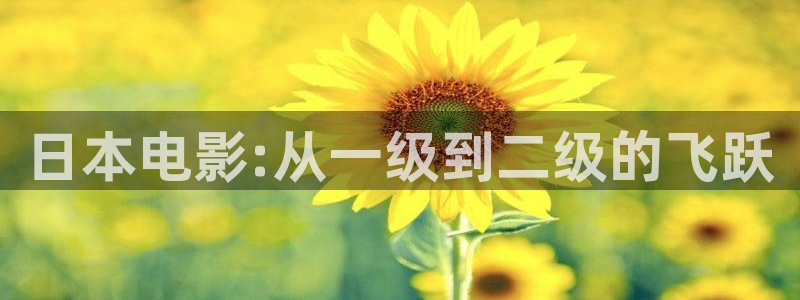 天狼影院2025电视剧免费观看：日本电影:从一级到二级的飞跃