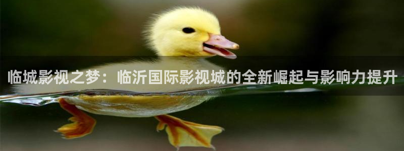 天狼影院嫩草影院：临城影视之梦：临沂国际影视城的全新崛起与影响力提升