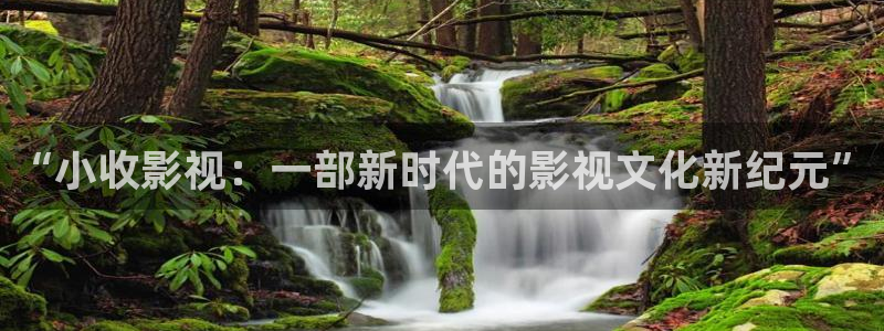 天狼影院2025在线观看：“小收影视：一部新时代的影视文化新纪元”