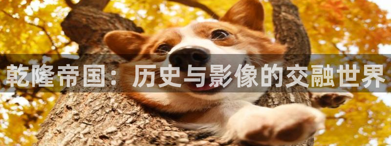 天狼影院成人免费：乾隆帝国：历史与影像的交融世界