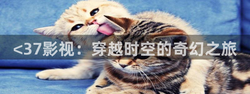 天狼高清影院：<37影视：穿越时空的奇幻之旅
