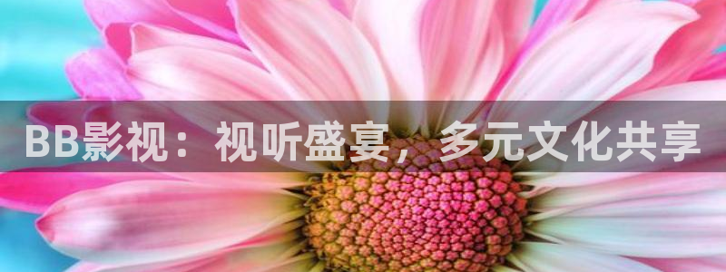 天狼影院午夜剧场：BB影视：视听盛宴，多元文化共享