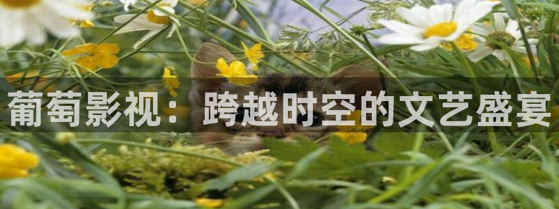 双轨电视剧在线观看全集免费天狼影院：葡萄影视：跨越时空的文艺盛宴