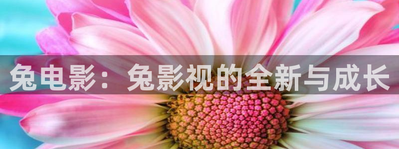 天狼电影院在线：兔电影：兔影视的全新与成长