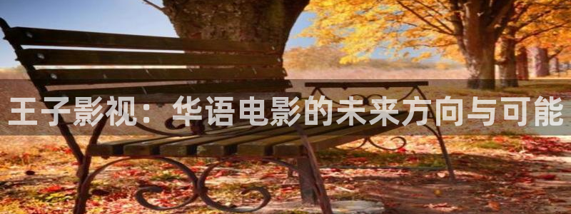 天狼电影伦理：王子影视：华语电影的未来方向与可能