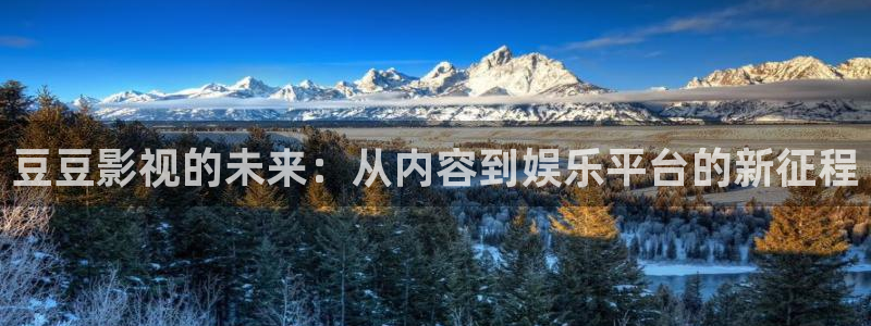 天狼影视午夜理论：豆豆影视的未来：从内容到娱乐平台的新征程